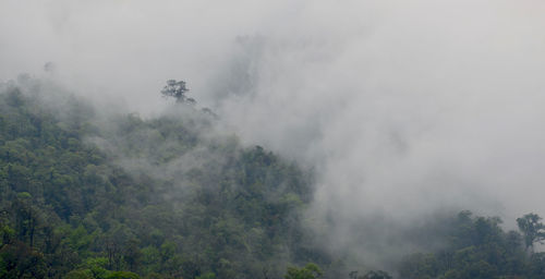 Scenic view of foggy weather against sky
