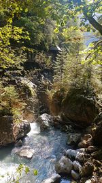 River flowing through rocks in forest