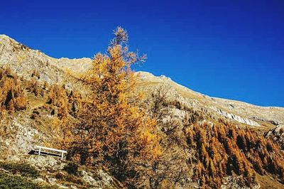 Scenic view of mountains against clear blue sky