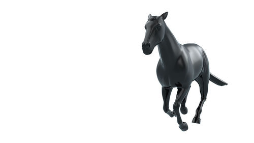 Close-up of a horse against white background
