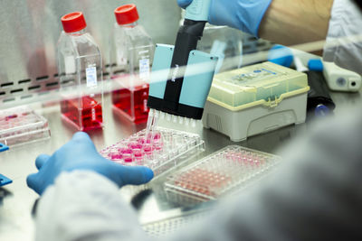 High angle view of scientist working in laboratory