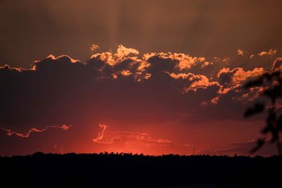 Low angle view of silhouette trees against dramatic sky during sunset