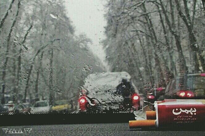 tree, transportation, mode of transport, car, land vehicle, winter, cold temperature, weather, snow, season, glass - material, windshield, bare tree, travel, water, nature, transparent, no people, day, vehicle interior