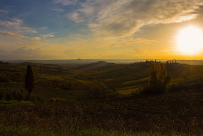 Scenic view of vineyard against sky during sunset