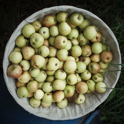 High angle view of fruits in container