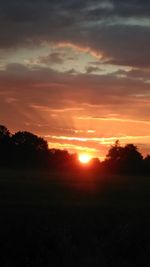 Silhouette of trees on field against sky at sunset