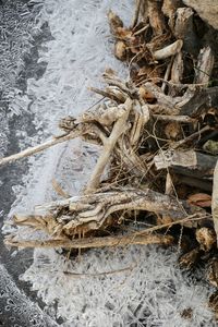 High angle view of dry leaf