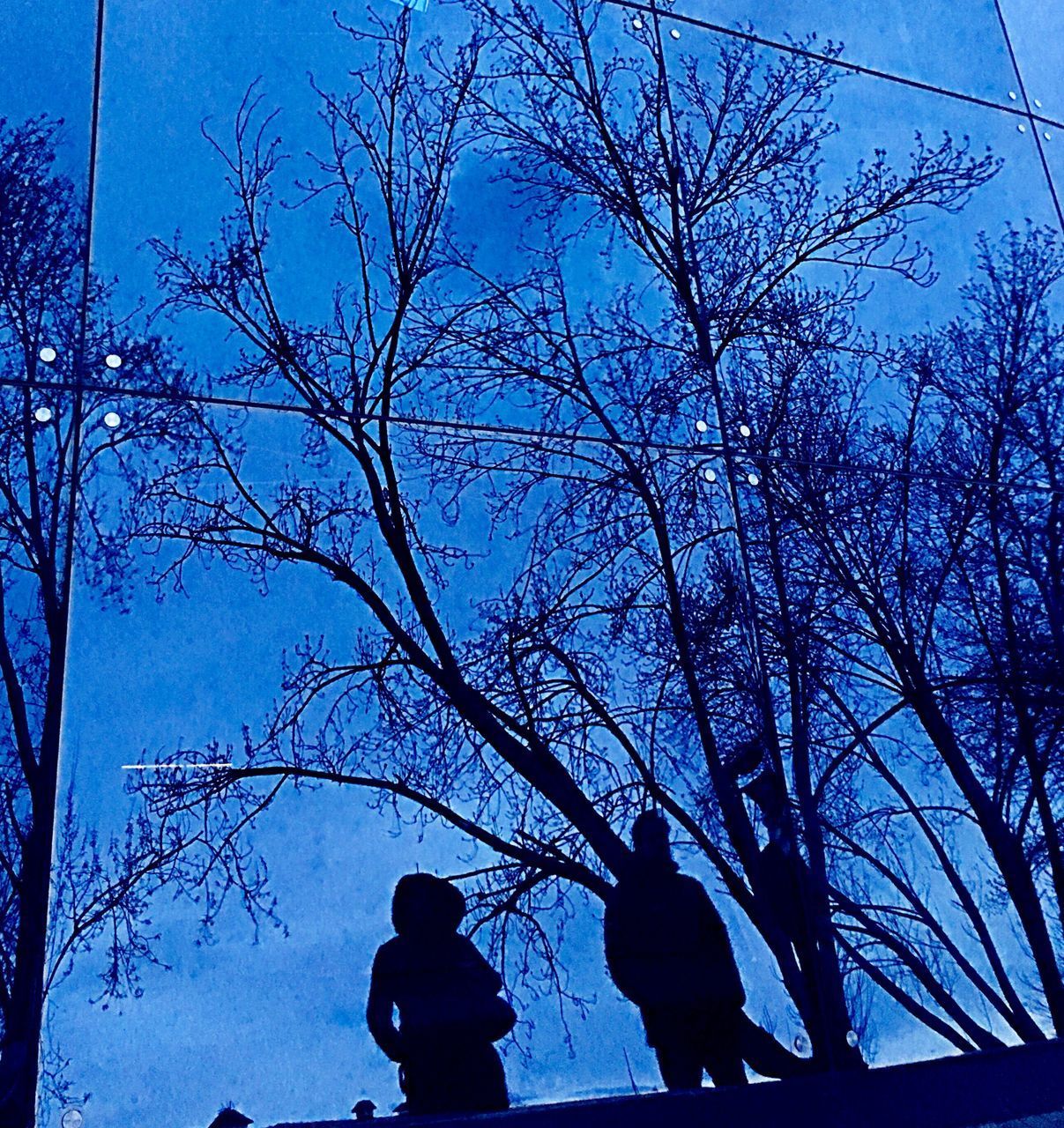 SILHOUETTE PEOPLE BY BARE TREE AGAINST SKY