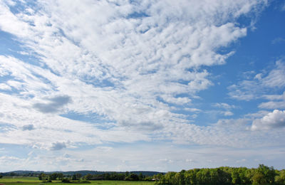 Low angle view of trees on land against sky