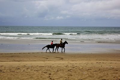 Side view of father and son riding horses at beach