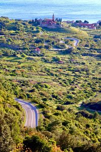 High angle view of trees along landscape