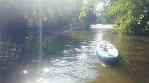 View of lake in forest