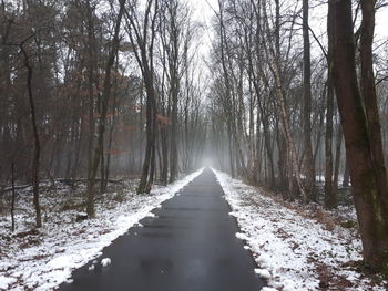 View of snow covered trees in forest