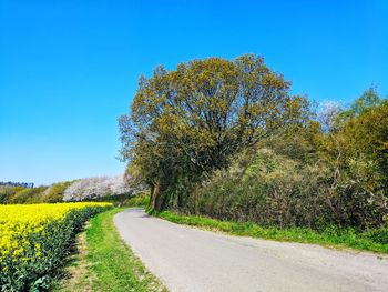 Empty road amidst trees on field against clear blue sky