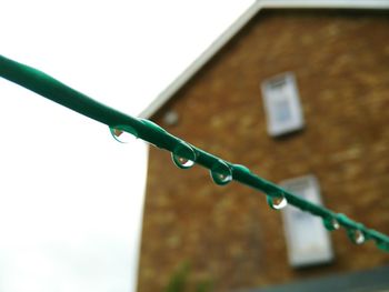 Close-up of water drops on cable wire