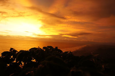 Scenic view of sea against sky during sunset