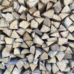 Full frame shot of logs in forest