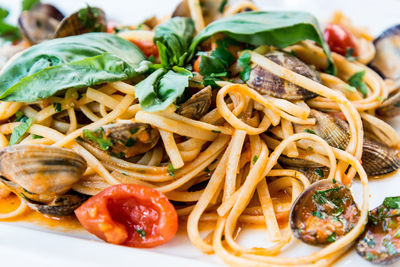 Close-up of pasta and clams in plate