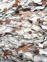 Full frame shot of brick wall