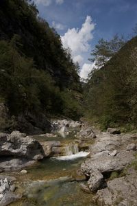 Stream flowing through rocks in forest against sky