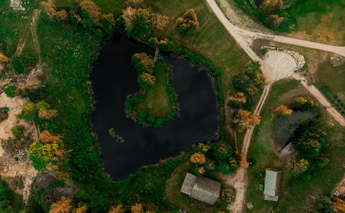 High angle view of plants and river