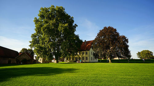 Trees and plants on field against sky