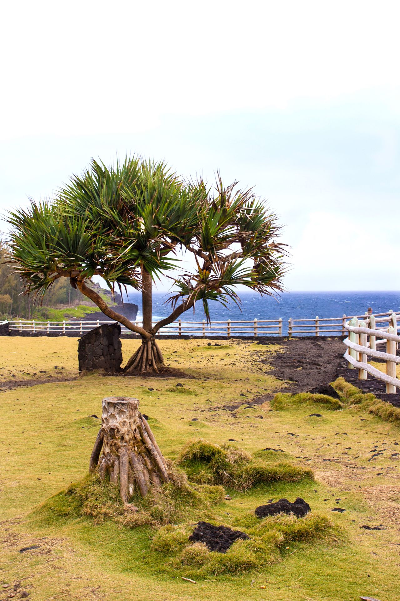 Reunion Island