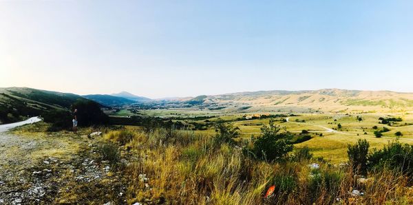 Scenic view of field against clear sky