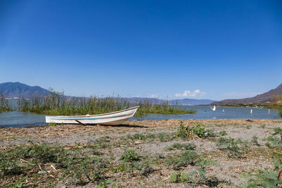 View of beach against blue sky