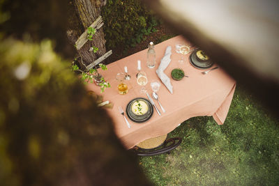 High angle view of plants in yard