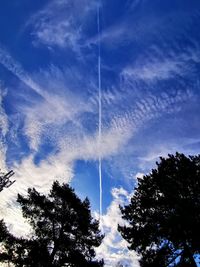 Low angle view of silhouette trees against blue sky