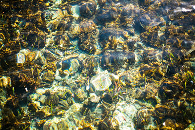 Full frame shot of pebbles in sea