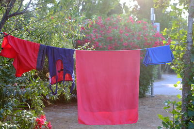 Clothes drying on plant against trees