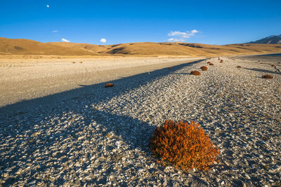 Clean landscape in tibet china.