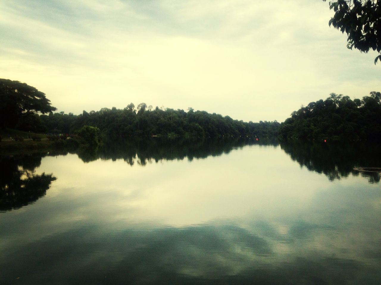 tree, reflection, water, lake, tranquil scene, tranquility, sky, scenics, beauty in nature, waterfront, nature, cloud - sky, idyllic, calm, cloud, standing water, river, growth, outdoors, no people