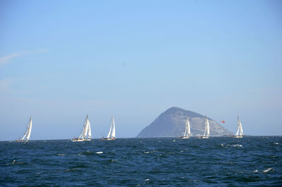 Sailboat sailing in sea