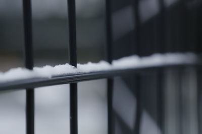Close-up of snow on railing