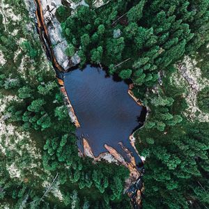 High angle view of lake amidst trees in forest