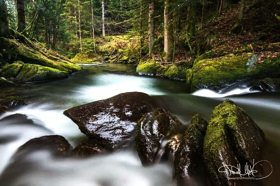 SCENIC VIEW OF RIVER FLOWING THROUGH ROCKS