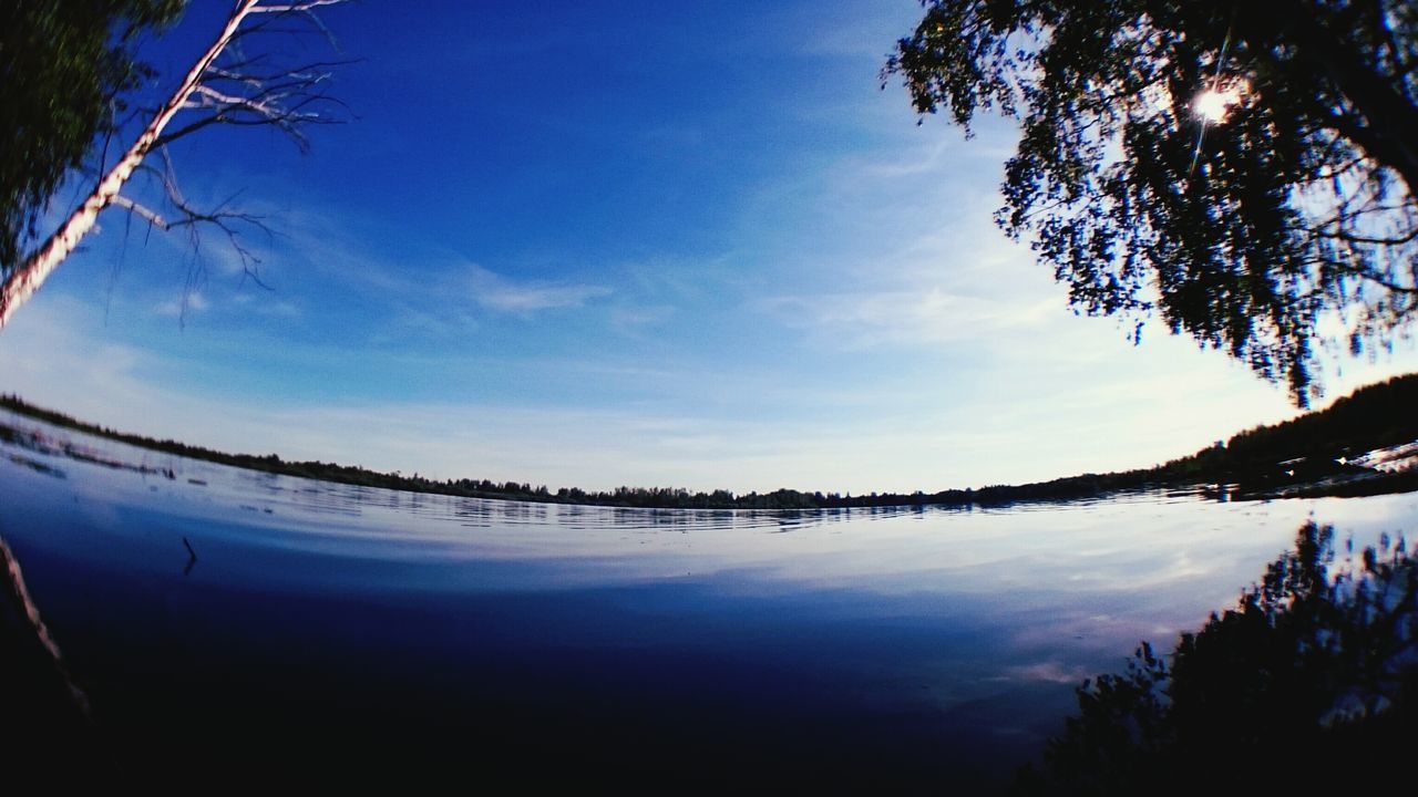 water, tranquility, tranquil scene, tree, scenics, sky, beauty in nature, lake, reflection, nature, blue, silhouette, idyllic, calm, waterfront, cloud - sky, branch, outdoors, cloud, sea