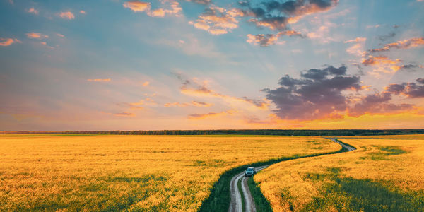 Scenic view of agricultural field against sky during sunset