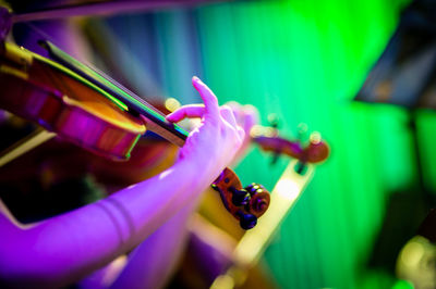 Close-up of multi colored leaf