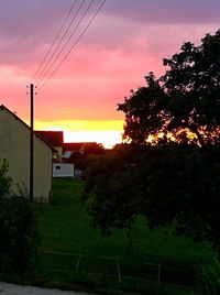 Trees and houses against sky during sunset