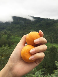 Cropped image of hand holding orange