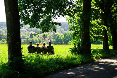 Rear view of people sitting in park