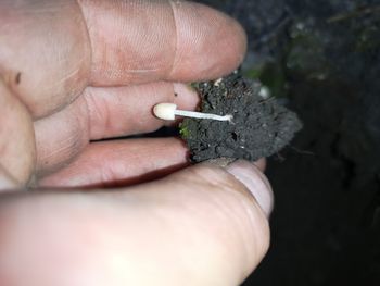 Close-up of hand holding cigarette