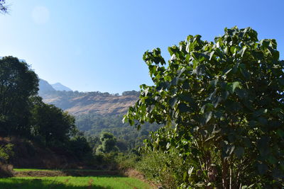 Scenic view of mountains against clear sky