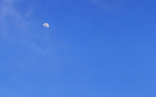 Low angle view of moon against clear blue sky