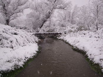 River with trees in background