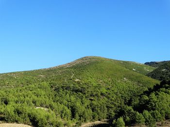 Scenic view of tree mountains against clear blue sky